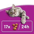 Whiskas Dentabites image number null